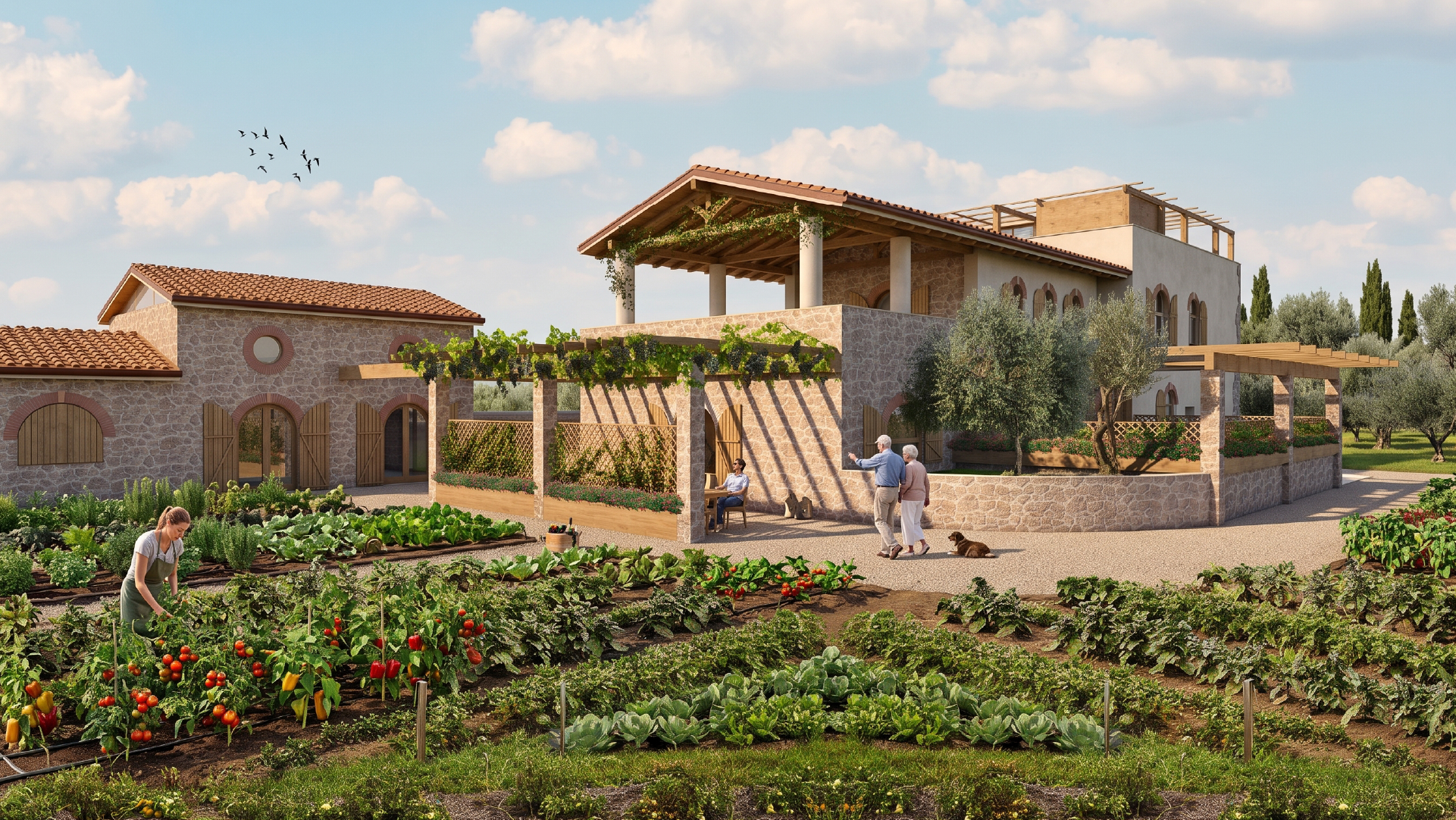 Vista progetto 1